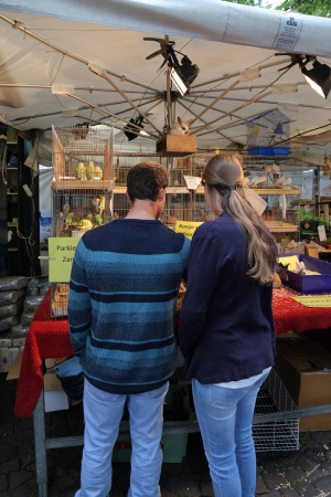Bird Market
Antwerp, Belgium