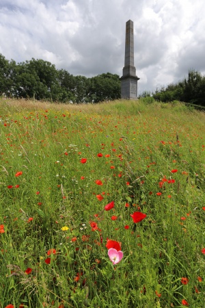  Cemetery Monument
Near Ypres, Belgium