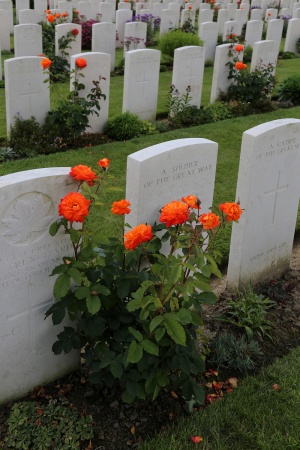  Tyne Cot Cemetery
 Passchendaele, Belgium