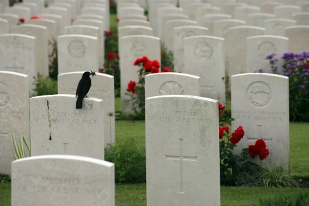  Passchendaele Cemetery
Near Ypres, Belgium