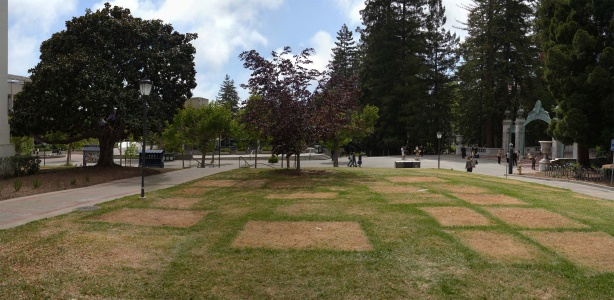 Epilogue
Gaza Protest Encampment
Sproul Plaza
UC Berkeley
Berkeley, California