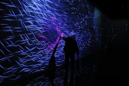 Continuity Exhibit
Asian Art Museum
San Franciso, California