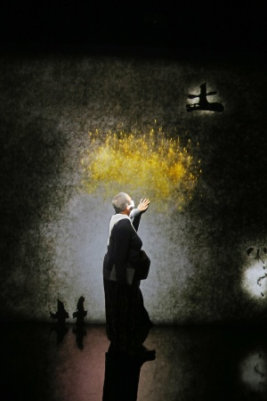 Continuity Exhibit
Asian Art Museum
San Franciso, California