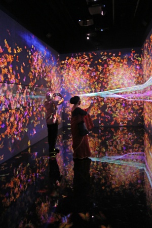 Continuity Exhibit
Asian Art Museum
San Franciso, California