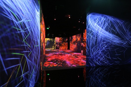 Continuity Exhibit
Asian Art Museum
San Franciso, California