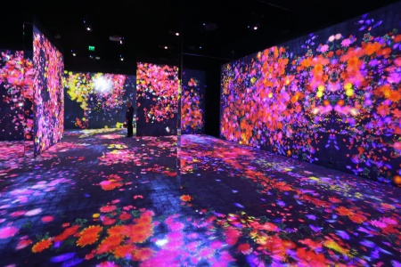 Continuity Exhibit
Asian Art Museum
San Franciso, California