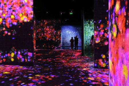 Continuity Exhibit
Asian Art Museum
San Franciso, California