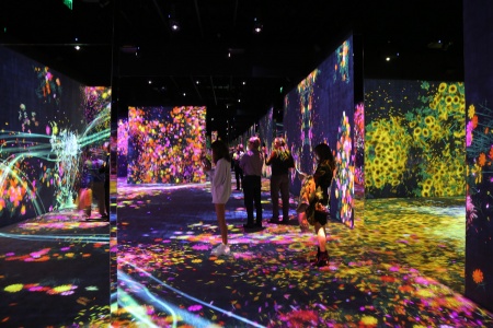 Continuity Exhibit
Asian Art Museum
San Franciso, California