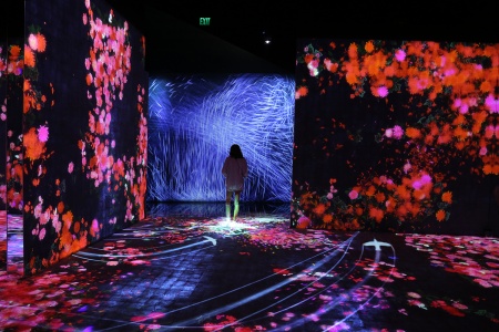 Continuity Exhibit
Asian Art Museum
San Franciso, California