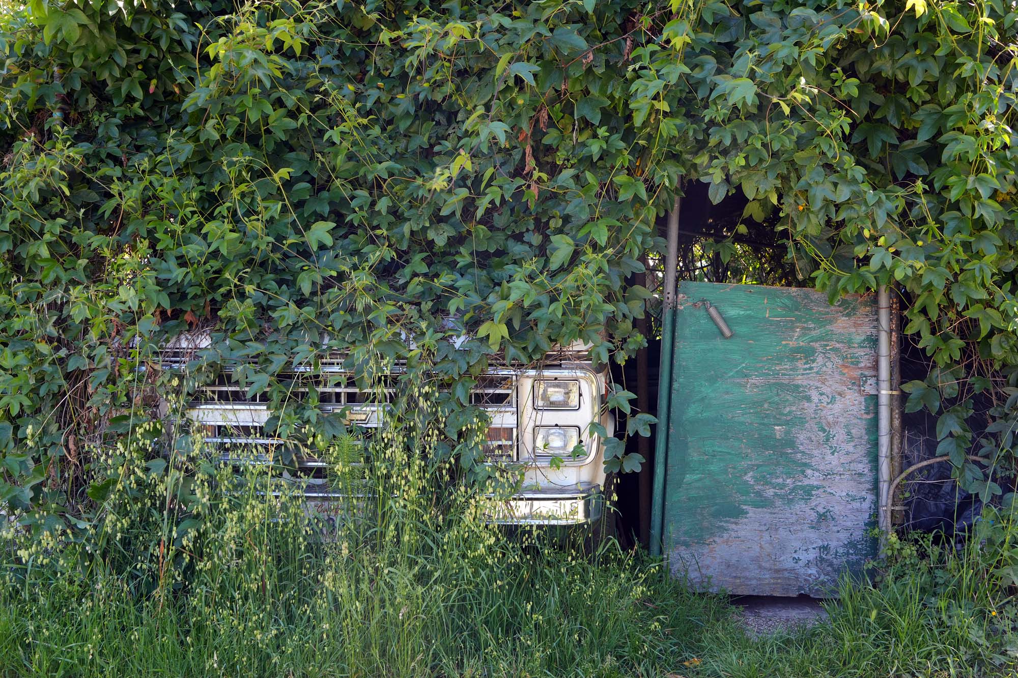 bill-hocker-orick-california-2024