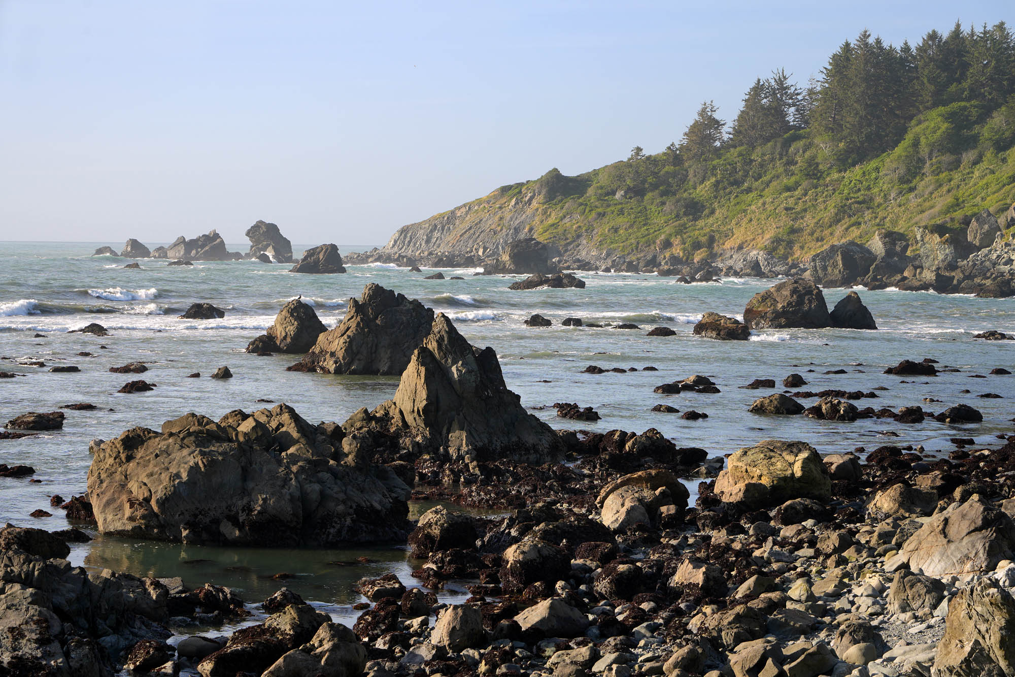 bill-hocker-palmer's-point-sue-meg-state-park-humboltd-county-california-2024