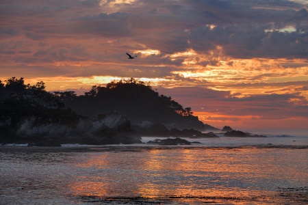 Point Lobos from Monastery Beach, Carmel California
