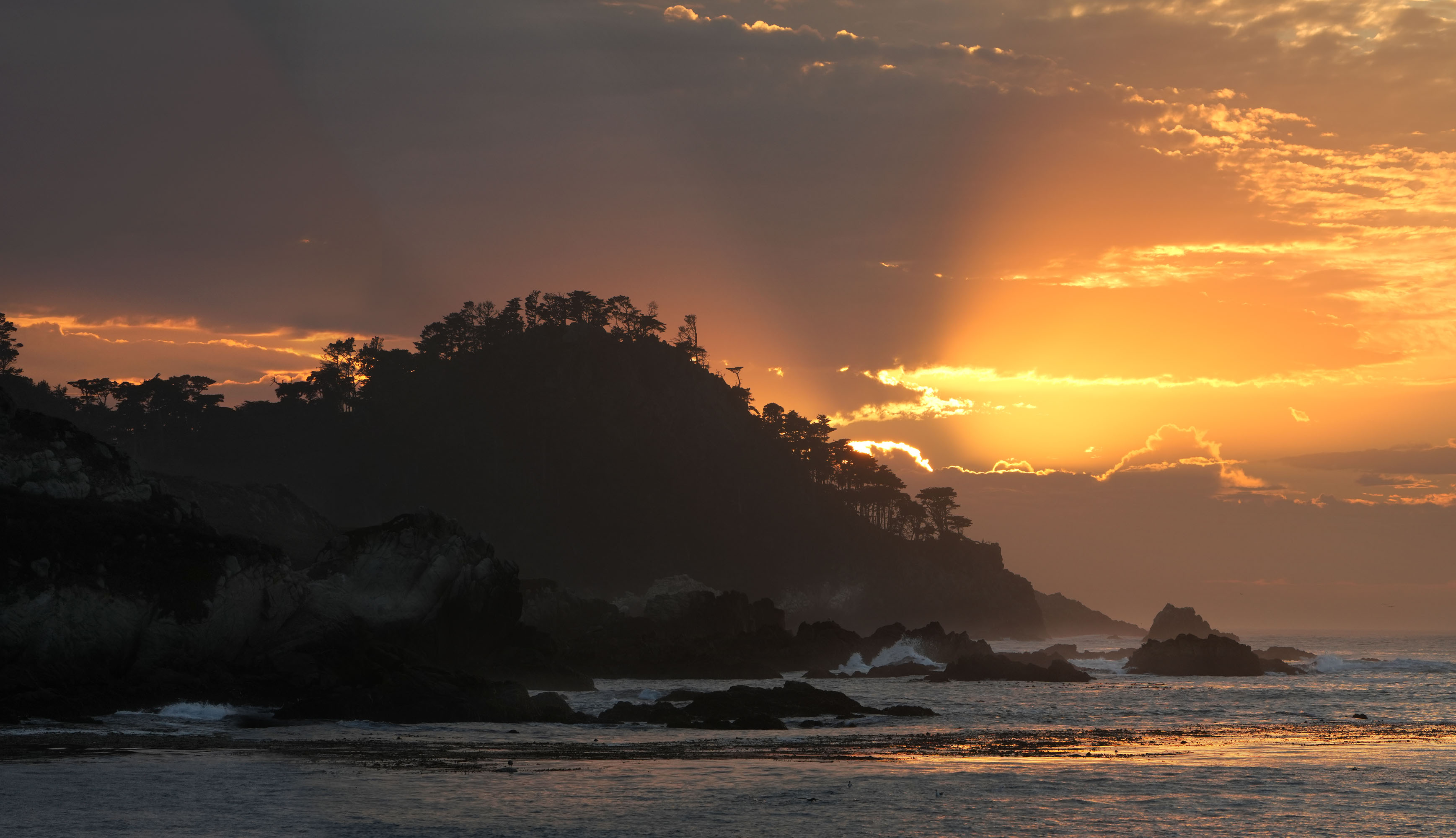 bill-hocker-pt-lobos-california-2025