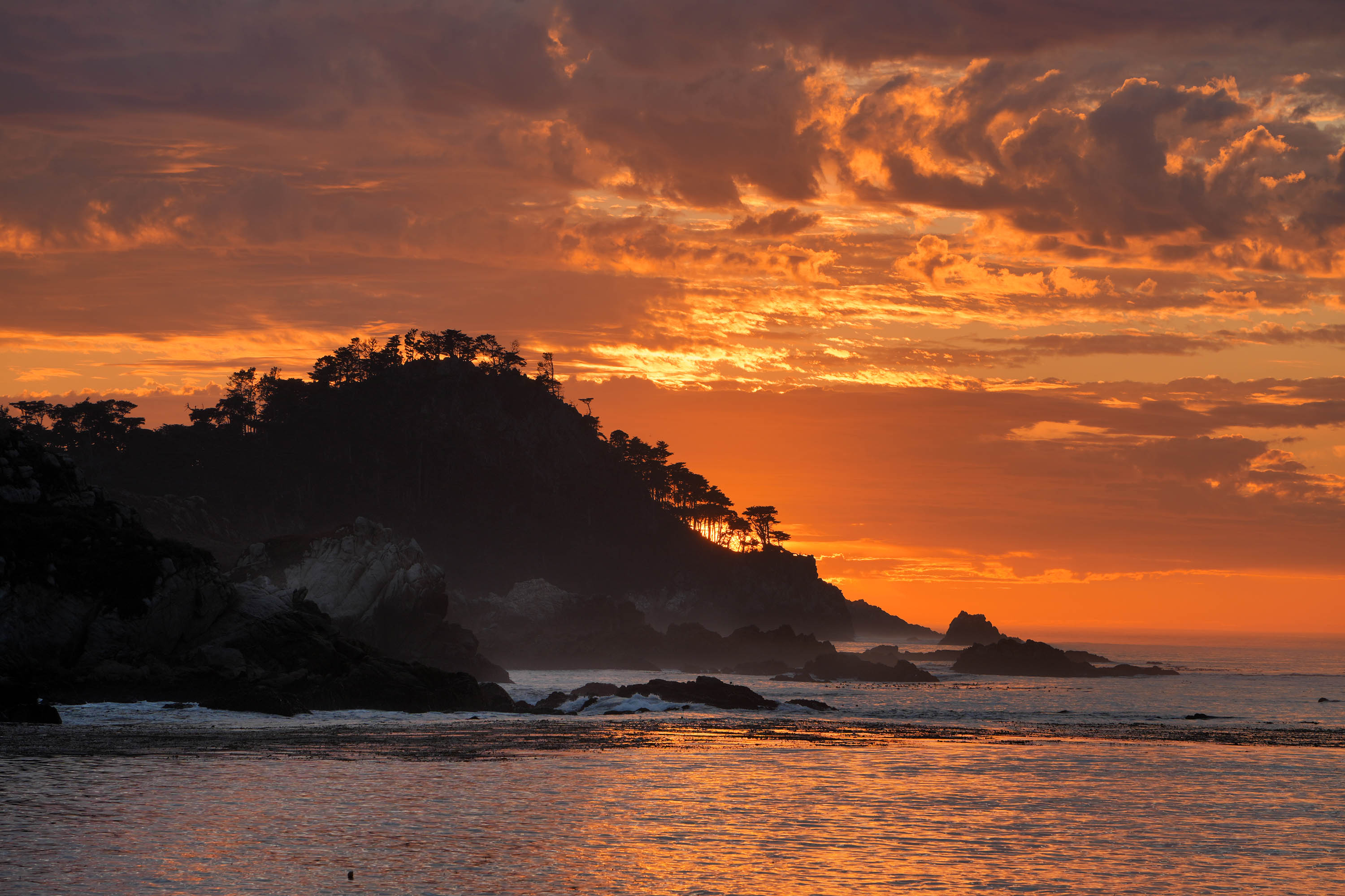 bill-hocker-point-lobos-from-monastery-beach-carmel-california-2025