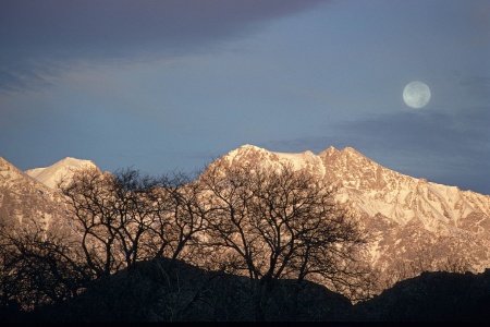 Eastern Sierra
Near Lone Pine