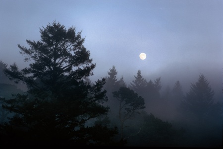 Moonrise
Point Reyes, California