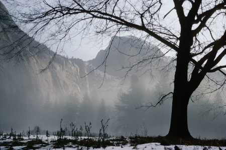 Half Dome
Yosemite, California