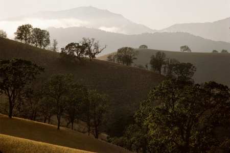 	Near Mt. Diablo, California