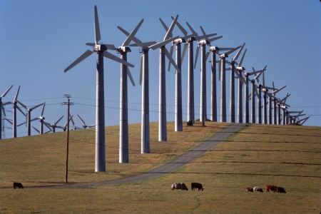 Windmills
Altamont Pass, California