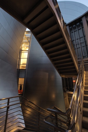 Walt Disney Concert Hall
Los Angeles, California