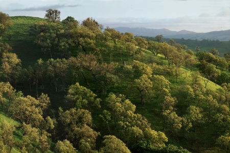 From Mt. Diablo
California