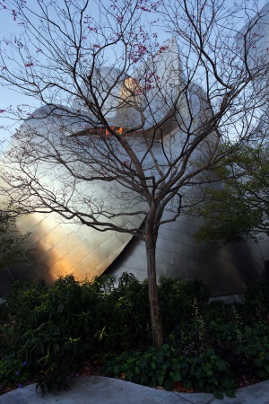 Walt Disney Concert Hall
Los Angeles, California
