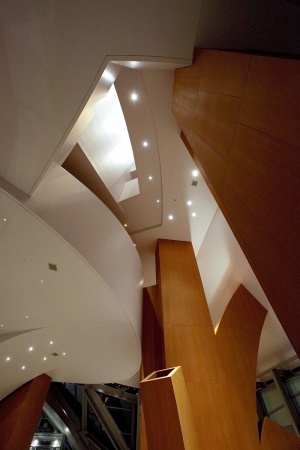 Walt Disney  Concert Hall
Los Angeles, California