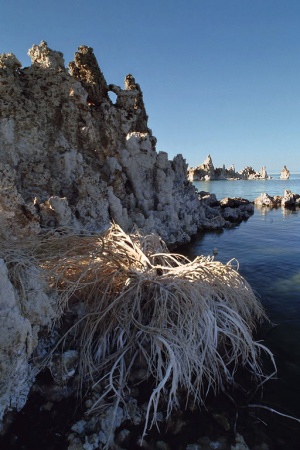 TufaMono Lake, California
