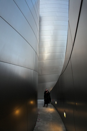 Walt Disney Concert Hall
Los Angeles, California