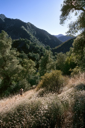 Mui
Tassajara, California
