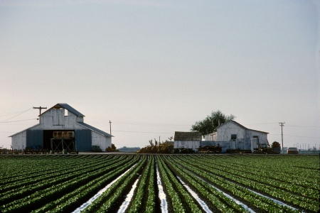 FarmSalinas Valley, California