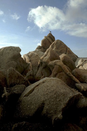 Carmel Point
Carmel, California
