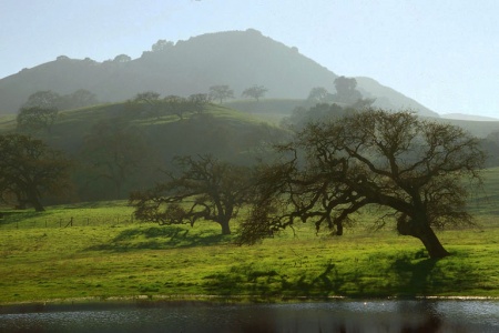 RanchNear Gilroy, California