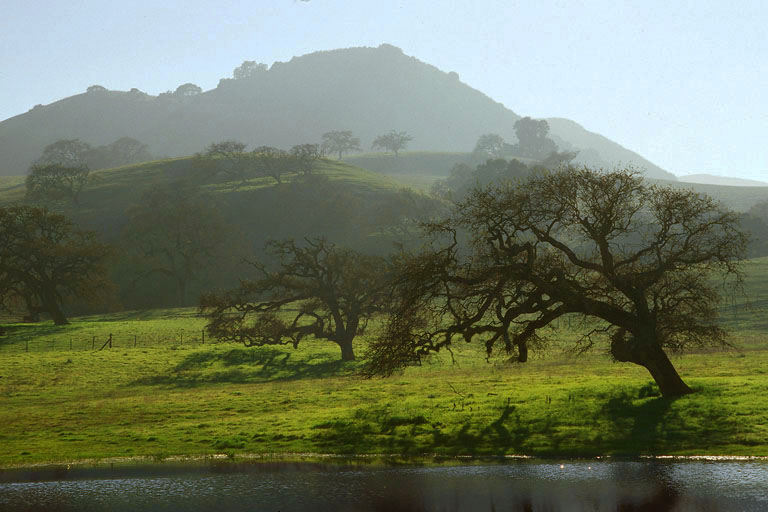 bill-hocker-ranch-near-gilroy-california-2003