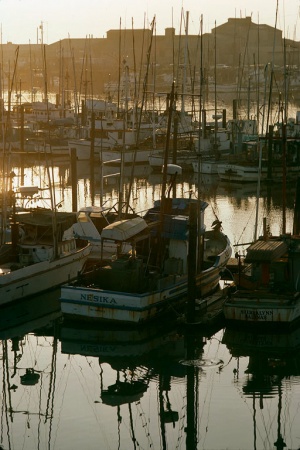 Fishing FleetMoss Landing, California