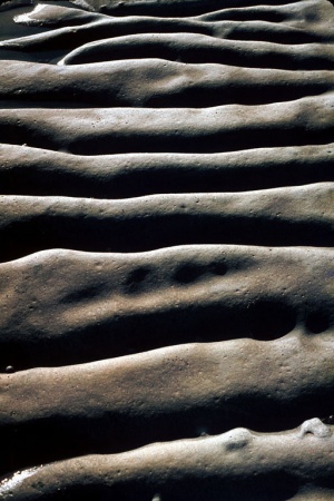 Eroded RockPoint Lobos, California