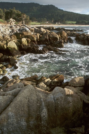 School House Beach
Near Carmel, California

