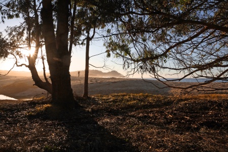 Monastery Beach
Carmel, California
