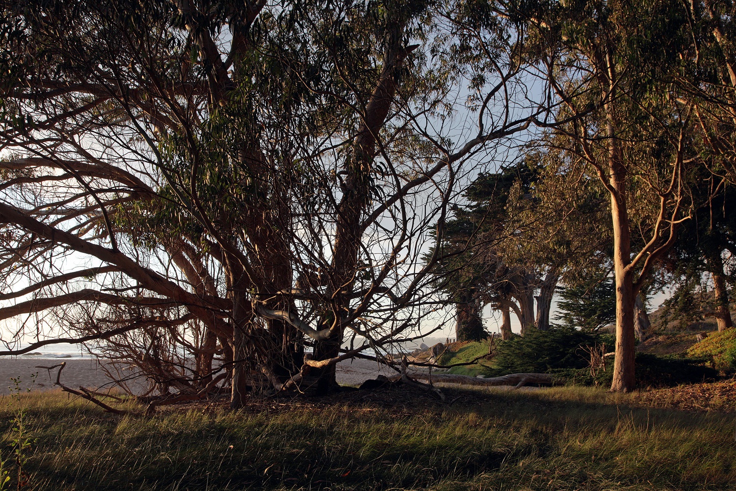 bill-hocker-schoolhouse-beach-carmel-california-2010