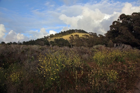 Schoolhouse Beach
Carmel, California

