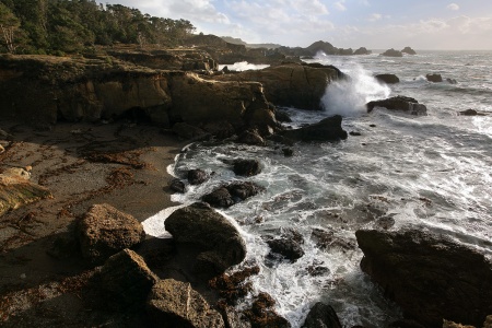 Hidden BeachPoint Lobos, California