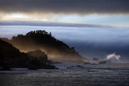 Point Lobos from Monastery Beach
Carmel, California
