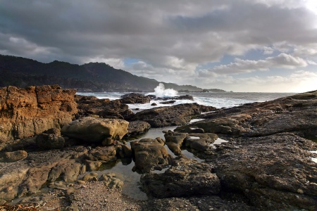 Weston BeachPoint Lobos, California