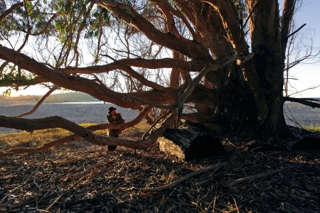 Schoolhouse Beach
Carmel, California
