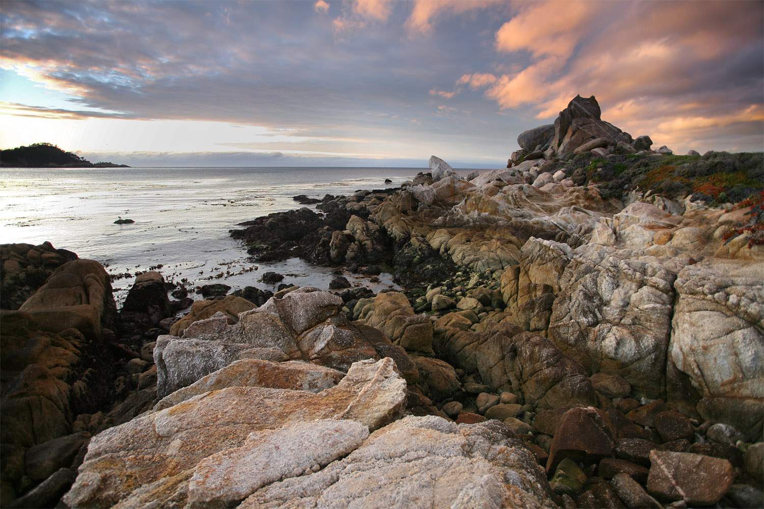 bill-hocker-schoolhouse-beach-carmel-california-2008
