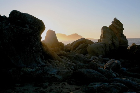 Schoolhouse Beach
Carmel, California
