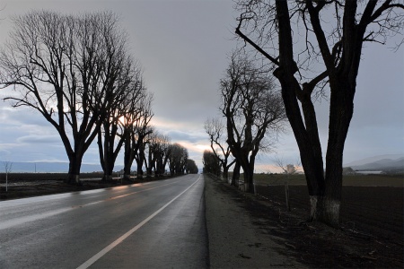 Spreckles Road
Spreckles, California