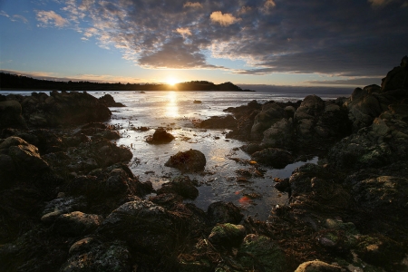 Schoolhouse Beach
Carmel, California