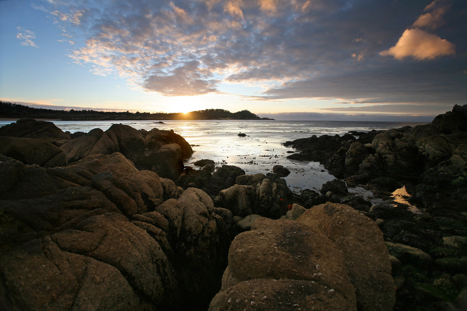 bill-hocker-schoolhouse-beach-toward-point-lobos-carmel-california-2008
