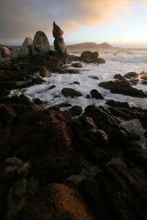 				Schoolhouse RocksCarmel, California